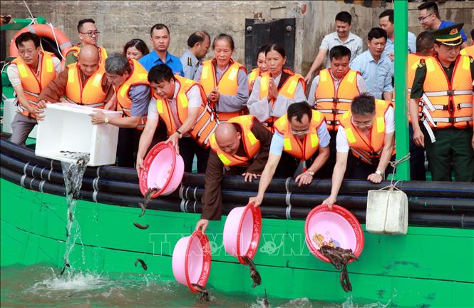 Lãnh đạo các sở ngành và nhân dân tỉnh Ninh Bình thả giống phóng sinh, tái tạo nguồn lợi thủy sản. Ảnh: Nguyễn Lành - TTXVN 