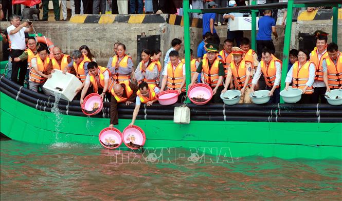 Lãnh đạo các sở ngành và nhân dân tỉnh Ninh Bình thả giống phóng sinh, tái tạo nguồn lợi thủy sản. Ảnh: Nguyễn Lành - TTXVN 