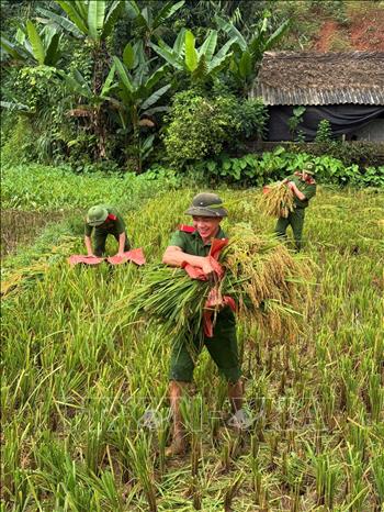 Cán bộ, chiến sĩ Trại tạm giam số 2 Công an tỉnh Tuyên Quang vận chuyển thóc giúp hộ gia đình chính sách trên địa bàn thôn Lắp 1, xã Phú Linh (Tuyên Quang). Ảnh: Minh Tâm-TTXVN