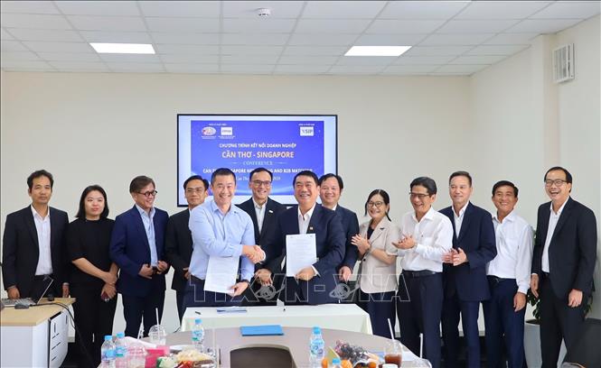 VSIP Cần Thơ và Công ty Thép Miền Nam ký kết biên bản ghi nhớ hợp tác giữa hai đơn vị. Ảnh: Thanh Liêm - TTXVN