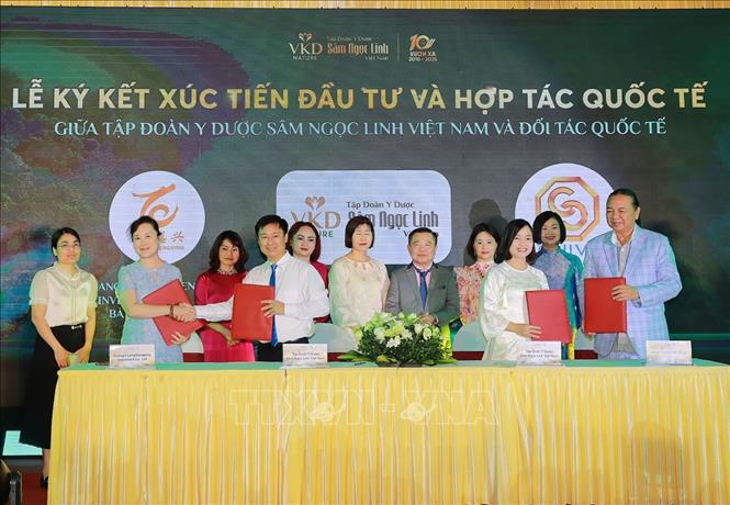 Ký kết xúc tiến đầu tư và hợp tác quốc tế giữa Tập đoàn y dược Sâm Ngọc Linh Việt Nam và đối tác quốc tế. Ảnh: Khánh Hoà - TTXVN