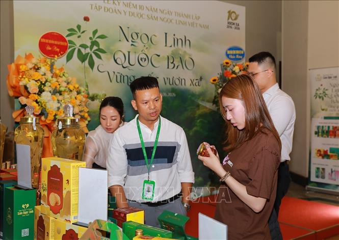 Tìm hiểu thông tin các sản phẩm của Tập đoàn Y Dược Sâm Ngọc Linh Việt Nam. Ảnh: Khánh Hoà - TTXVN
