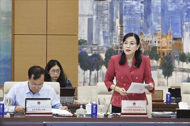 Chủ nhiệm Ủy ban Khoa học, Công nghệ và Môi trường của Quốc hội Nguyễn Thanh Hải phát biểu. Ảnh: Doãn Tấn - TTXVN