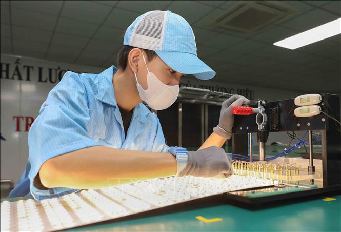 Công nhân đang thực hiện thao tác kiểm tra chất lượng (QC) và thử nghiệm độ sáng của các dải bo mạch đèn LED. Ảnh: Phan Phương - TTXVN