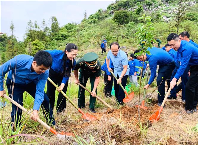 Các đại biểu Đoàn TNCS Hồ Chí Minh, MTTQ, các đoàn thể Trung ương và Tỉnh đoàn Tuyên Quang tham gia trồng cây lê tại khu vực mốc biên giới 291/2 xã Tùng Vài. Ảnh: Minh Tâm - TTXVN