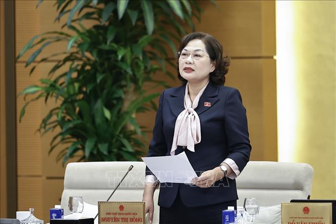 Phó Chủ tịch Quốc hội Nguyễn Thị Hồng phát biểu. Ảnh: Doãn Tấn - TTXVN