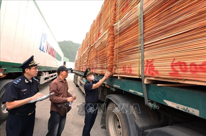 Lực lượng Hải quan kiểm tra, giám sát phương tiện và hàng hoá nhập khẩu qua Cửa khẩu Tân Thanh (tỉnh Lạng Sơn). Ảnh: Vũ Sinh – TTXVN