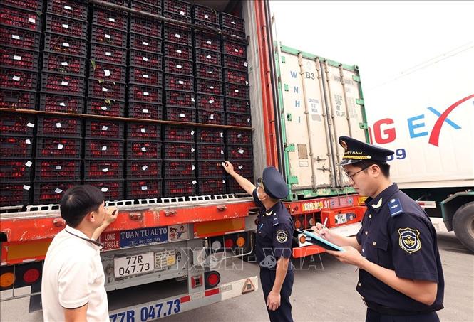 Lực lượng Hải quan kiểm tra, giám sát phương tiện và hàng hoá nhập khẩu qua Cửa khẩu Tân Thanh (tỉnh Lạng Sơn). Ảnh: Vũ Sinh – TTXVN