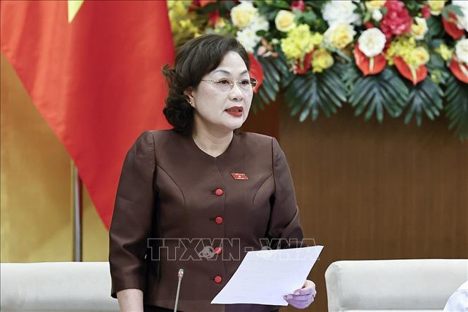 Phó Chủ tịch Quốc hội Nguyễn Thị Hồng phát biểu. Ảnh: Doãn Tấn - TTXVN