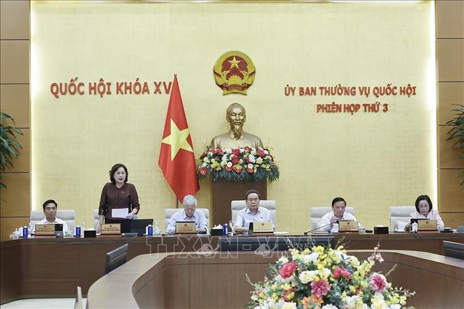Phó Chủ tịch Quốc hội Nguyễn Thị Hồng phát biểu. Ảnh: Doãn Tấn - TTXVN