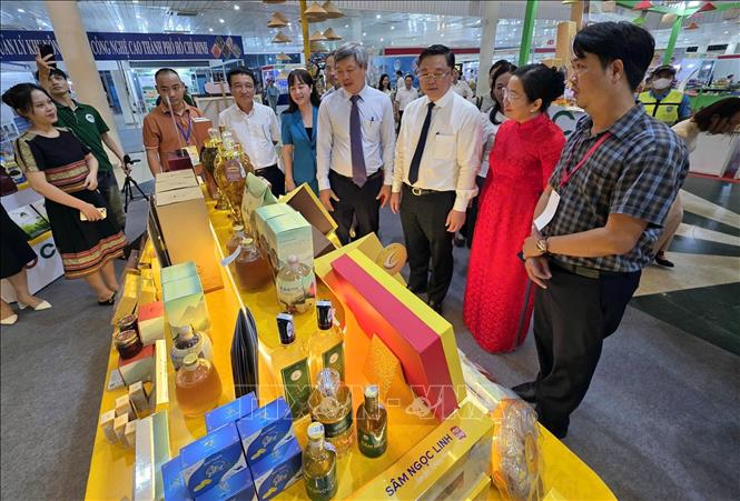 Đại biểu tham quan các gian hàng tại hội chợ. Ảnh: Trần Lê Lâm - TTXVN 