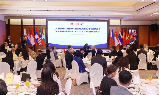 A view of the ASEAN-New Zealand Forum on Subregional Cooperation. VNA Photo: Văn Điệp 
