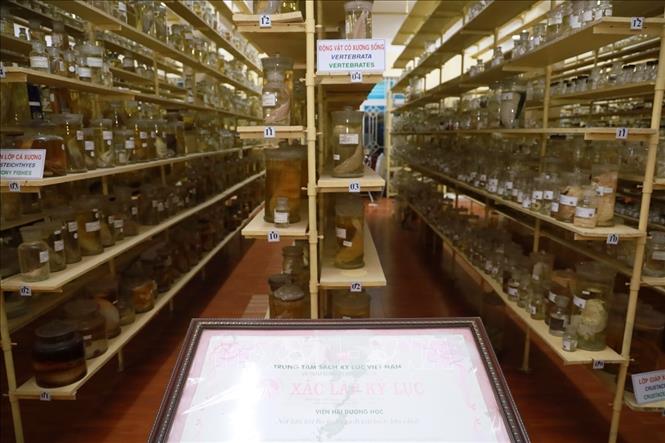 The museum preserves tens of thousands of marine specimens, which have been recognized as a 
