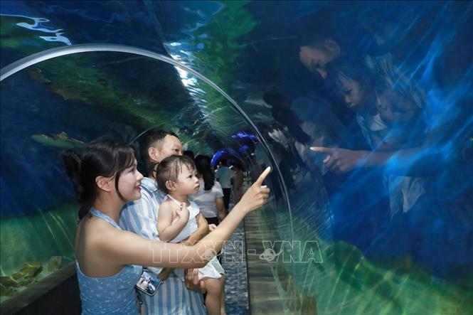 Tourists enjoy learning about the marine environment and life at the Nha Trang Institute of Oceanography’s Museum. VNA Photo: Xuân Triệu