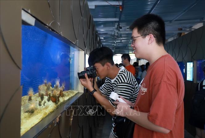 Students learn about marine life at the Nha Trang Institute of Oceanography Museum. VNA Photo: Xuân Triệu