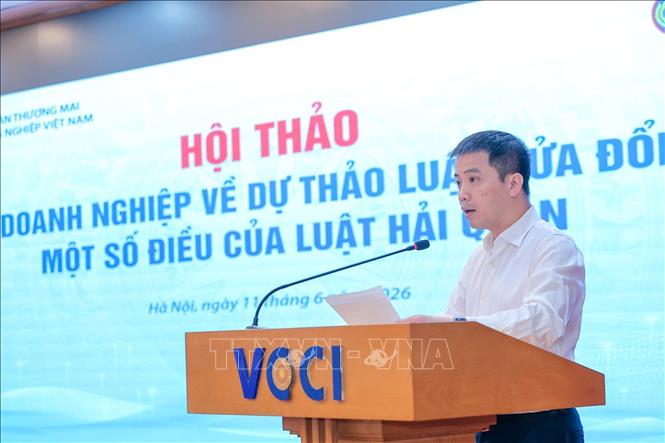 Ông Đậu Anh Tuấn, Phó Tổng Thư ký kiêm Trưởng Ban pháp chế VCCI phát biểu khai mạc Hội thảo. Ảnh: Lê Đông - TTXVN
