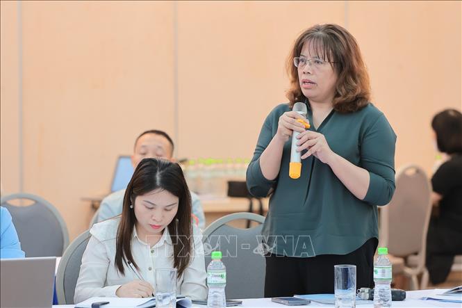 Bà Nguyễn Ánh Tuyết, Trưởng tiểu Ban Hải quan, Hiệp hội các nhà sản xuất ô tô Việt Nam (VAMA) thảo luận, góp ý dự thảo Luật. Ảnh: Lê Đông - TTXVN