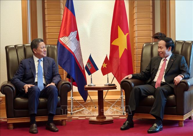 Phó Thủ tướng Lê Tiến Châu đề nghị hai bên tích cực triển khai kết quả các chuyến thăm cấp cao gần đây. Ảnh: Bùi Hà- PV TTXVN tại Nhật Bản