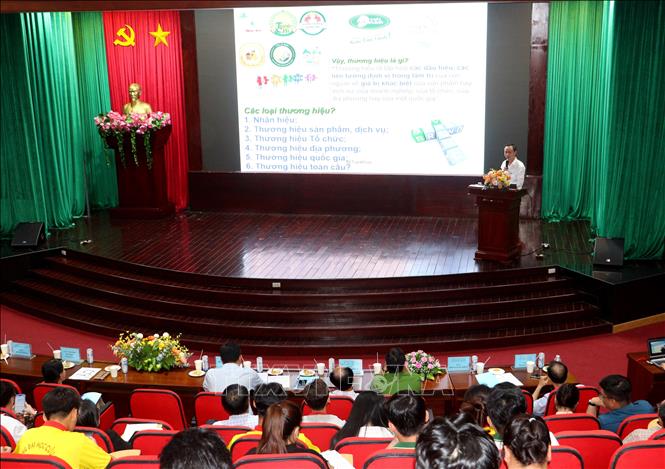 Quang cảnh hội thảo. Ảnh: Lê Thúy Hằng – TTXVN.