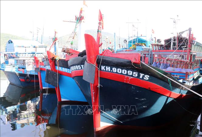 Khai thác hải sản là thế mạnh của các địa phương ven biển của Khánh Hòa. Ảnh: Công Thử - TTXVN