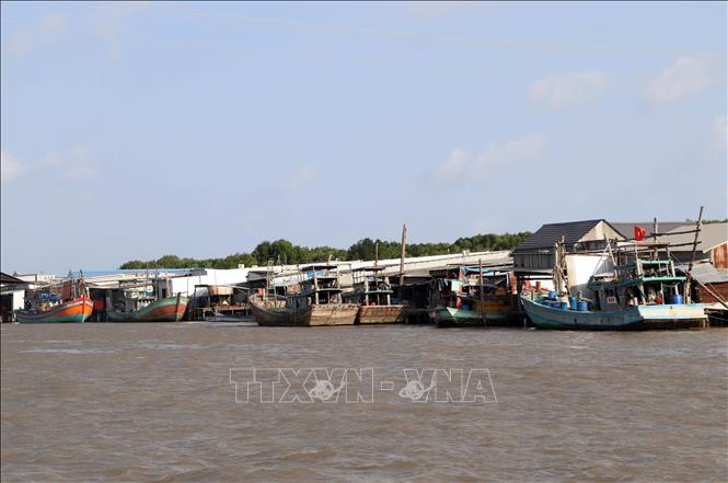 Khai thác biển là thế mạnh của Cà Mau. Ảnh: Trung Hiếu - TTXVN