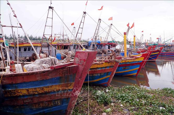 Hiện nay, trên địa bàn tỉnh Hưng Yên có 733 tàu cá đã được đăng ký cập nhật vào phần mềm dữ liệu tàu cá Quốc gia. Ảnh: Nguyễn Công Hải - TTXVN
