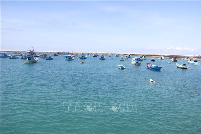 Đặc khu Phú Quý (Lâm Đồng) được định hướng thành trung tâm khai thác, dịch vụ hậu cần nghề cá, kết hợp tìm kiếm cứu nạn trên biển của cả nước. Ảnh: Nguyễn Thanh - TTXVN