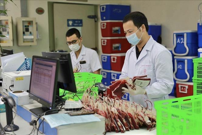 Hoạt động tại kho dự trữ máu, Viện Huyết học - Truyền máu Trung ương. Ảnh: TTXVN phát