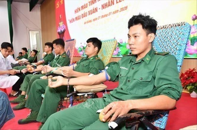 Cán bộ, chiến sĩ Bộ đội Biên phòng tỉnh An Giang tham gia hiến máu tình nguyện (1/2026). Ảnh: Văn Sĩ - TTXVN