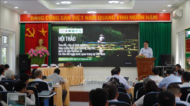 Ông Hoàng Việt, Giám đốc chương trình bảo tồn các hệ sinh thái nước ngọt WWF Việt Nam phát biểu tại Hội thảo. Ảnh: Huỳnh Sơn - TTXVN