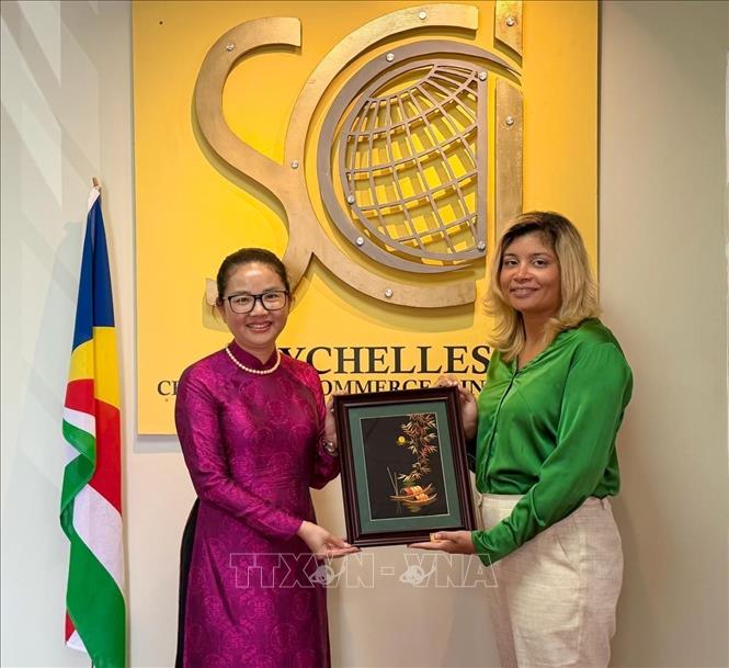 Đại sứ Trần Thị Thu Thìn làm việc cùng Phòng Thương mại và Công nghiệp Seychelles. Ảnh: TTXVN phát