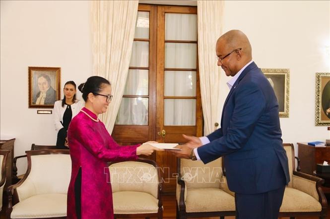 Đại sứ Trần Thị Thu Thìn trình Thư ủy nhiệm lên Tổng thống Cộng hòa Seychelles Patrick Herminie. Ảnh: TTXVN phát