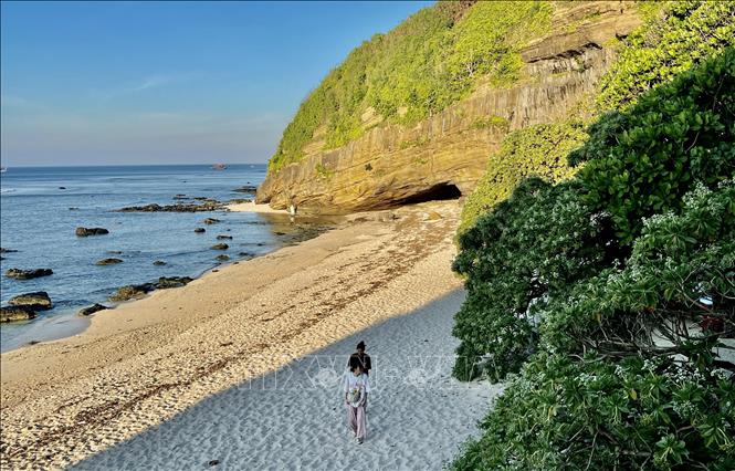 The dreamy green colour of Phong ba trees on Ly Son island. VNA Photo: Phạm Cường