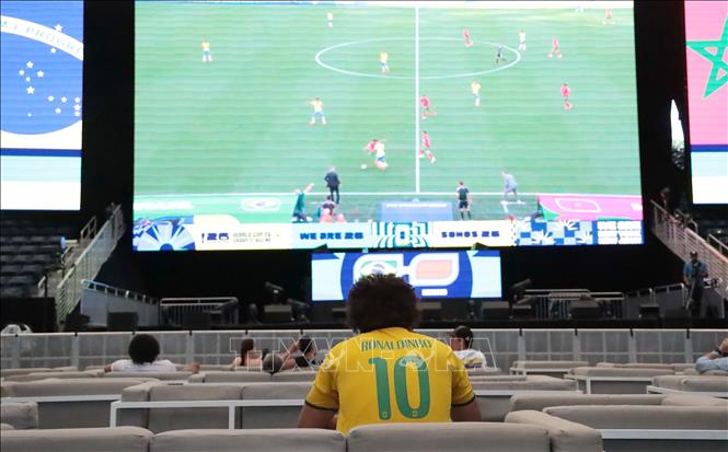 Một cổ động viên Brazil 