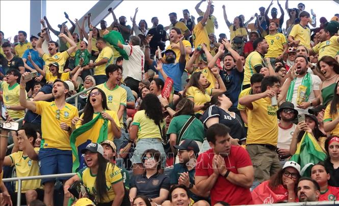Cổ động viên Brazil ăn mừng sau khi Vinicius Junior gỡ hòa 1-1. Ảnh: Thanh Tuấn - PV TTXVN tại Mỹ