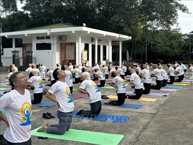 Các đại biểu thực hành đồng diễn Yoga. Ảnh: Diệu Thúy - TTXVN