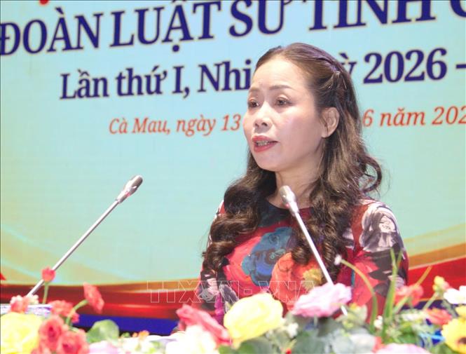 Bà Đặng Kim Hoa - Phó Cục trưởng Cục Bổ trợ tư pháp (Bộ Tư pháp) phát biểu chỉ đạo Đại hội. Ảnh: Tuấn Kiệt – TTXVN