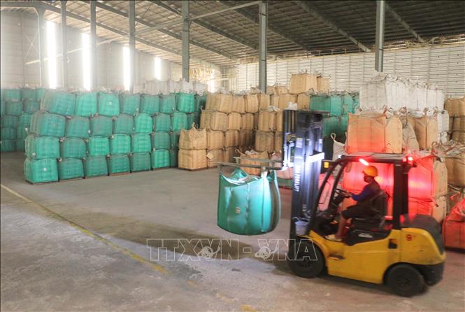 Sản phẩm gạo xay xát 5 tháng đầu năm đạt 2.466,6 ngàn tấn, tăng 22,83% so với cùng kỳ. Ảnh: Công Mạo - TTXVN