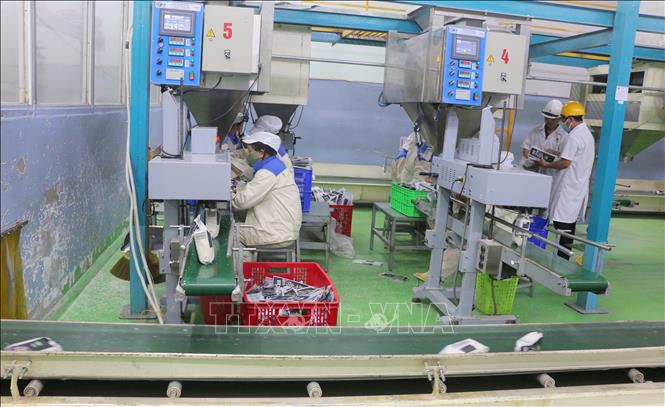 Đóng gói gạo xuất khẩu tại Công ty Trách nhiệm hữu hạn Một thành viên Lương thực Thoại Sơn, thuộc Công ty Cổ phần Tập đoàn Lộc Trời. Ảnh: Công Mạo - TTXVN