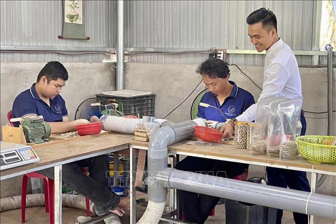 Công nhân Cơ sở Trầm hương Toàn Thắng (phường Long Khánh, thành phố Đồng Nao) chế tác các sản phẩm từ trầm cung cấp ra thị trường. Ảnh: Lê Xuân - TTXVN