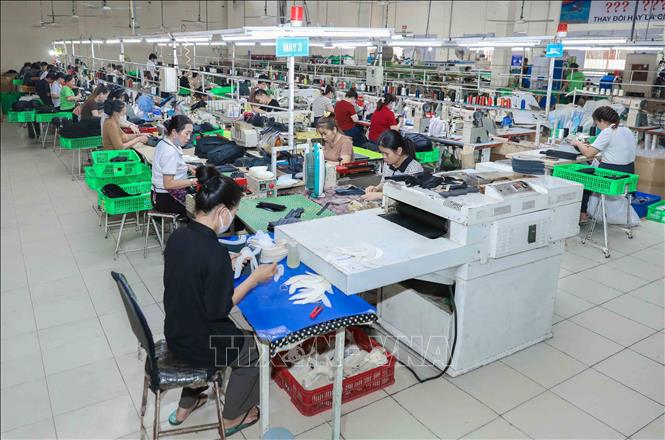 Thông qua việc đẩy mạnh tự động hóa và mở rộng sản xuất, Công ty giày Nam Bình vừa khẳng định vị thế thương hiệu Việt trên thị trường quốc tế, vừa góp phần quan trọng vào sự phát triển kinh tế và an sinh xã hội tại địa phương. Ảnh: Phan Phương – TTXVN