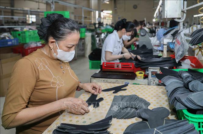 Ngành da giày Việt Nam cung ứng 1,4 tỷ đôi mỗi năm. Tại Đồng Nai, công ty giày Nam Bình không chỉ góp phần vào sự phát triển chung mà còn tạo việc làm ổn định cho lao động địa phương, đặc biệt là lao động nữ, với thu nhập ổn  đinh cùng đầy đủ chế độ phúc lợi hấp dẫn. Ảnh: Phan Phương – TTXVN