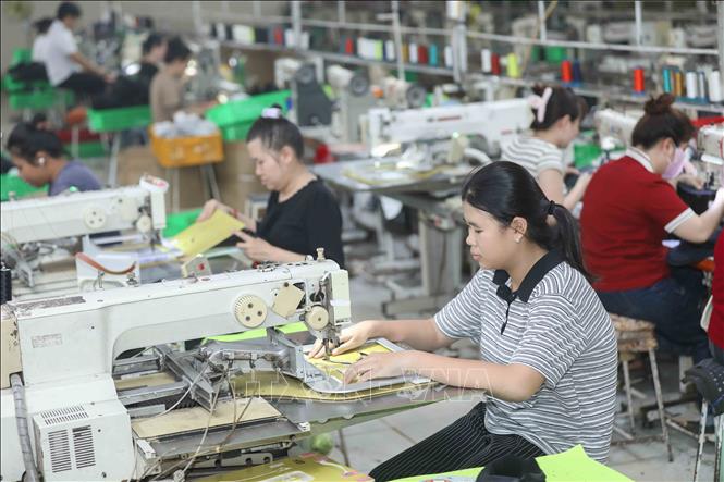 Công ty giày Nam Bình (Đồng Nai) là doanh nghiệp hàng đầu trong lĩnh vực sản xuất giày, quần áo và dụng cụ thể thao với gần 200 mẫu mã đa dạng. Đơn vị này không chỉ khẳng định vị thế trên thị trường mà còn tạo việc làm cho hơn 100 lao động địa phương. Ảnh: Phan Phương – TTXVN