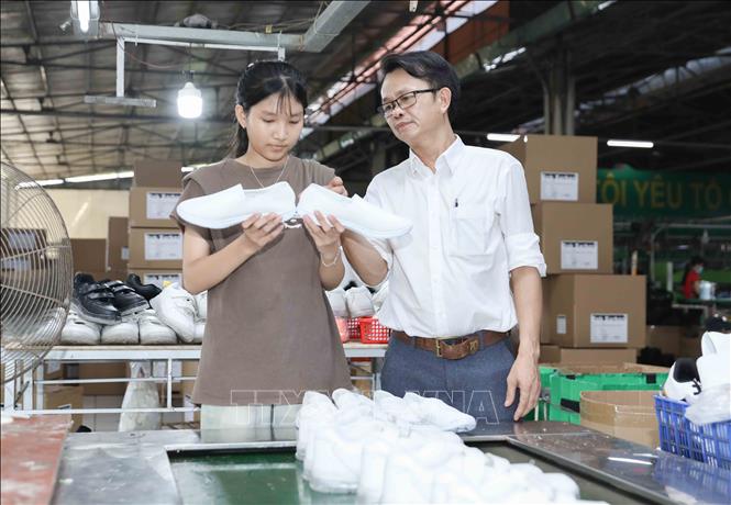 Giám đốc Kỹ thuật Nguyễn Văn Nam trực tiếp giám sát nghiêm ngặt quy trình sản xuất tại giày Nam Bình, đảm bảo mỗi đôi giày đều đạt chất lượng trước khi chính thức xuất khẩu sang thị trường Mỹ. Ảnh: Phan Phương – TTXVN