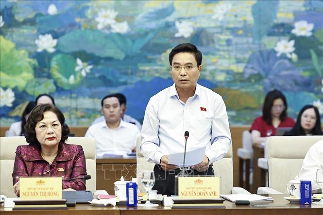Phó Chủ tịch Quốc hội Nguyễn Doãn Anh phát biểu. Ảnh: Doãn Tấn - TTXVN

