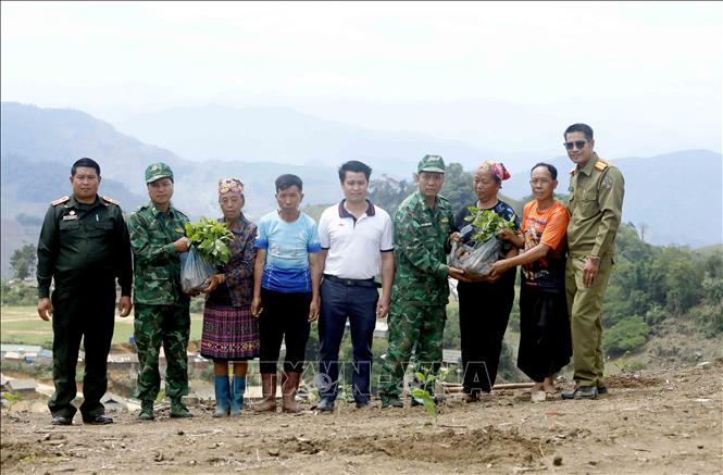 Trao tặng cây cà phê giống cho nhân dân bản Móng Nặm, xã Móng Nặm, huyện Xiềng Khọ, tỉnh Hủa Phăn (Lào). Ảnh: Quang Quyết - TTXVN