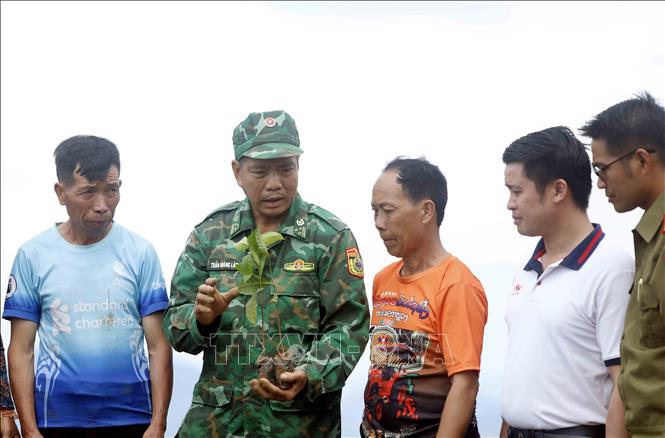 Cán bộ, chiến sĩ Đồn Biên phòng Chiềng Tương (Ban Chỉ huy Bộ đội Biên phòng tỉnh Sơn La) hướng dẫn người dân bản Móng Nặm, xã Móng Nặm, huyện Xiềng Khọ, tỉnh Hủa Phăn (Lào) trồng cây cà phê. Ảnh: Quang Quyết - TTXVN