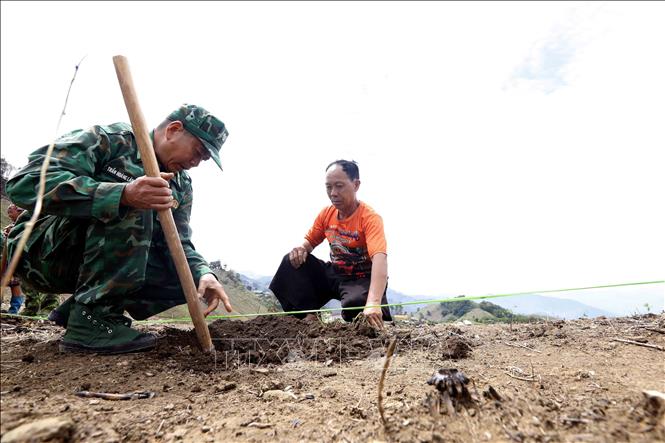 Cán bộ, chiến sĩ Đồn Biên phòng Chiềng Tương (Ban Chỉ huy BĐBP tỉnh Sơn La) hướng dẫn người dân bản Móng Nặm, xã Móng Nặm, huyện Xiềng Khọ, tỉnh Hủa Phăn (Lào) cách trồng cây cà phê. Ảnh: Quang Quyết - TTXVN