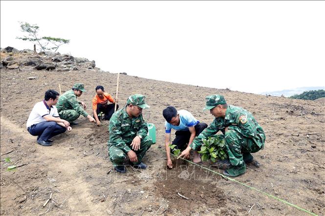 Cán bộ, chiến sĩ Đồn Biên phòng Chiềng Tương (Ban Chỉ huy BĐBP tỉnh Sơn La) hướng dẫn người dân bản Móng Nặm, xã Móng Nặm, huyện Xiềng Khọ, tỉnh Hủa Phăn (Lào) trồng cây cà phê. Ảnh: Quang Quyết - TTXVN