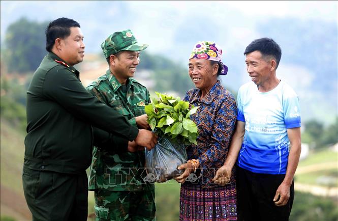 Trao tặng cây cà phê giống cho người dân bản Móng Nặm, xã Móng Nặm, huyện Xiềng Khọ, tỉnh Hủa Phăn (Lào). Ảnh: Quang Quyết - TTXVN